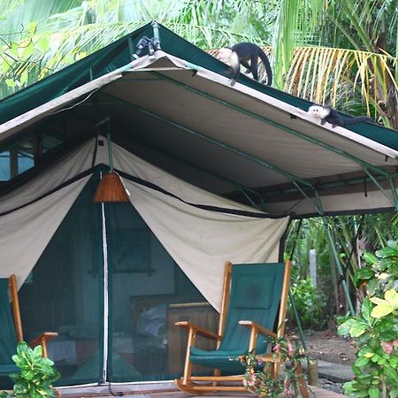 Rafiki Beach Camp Matapalo  ภายนอก รูปภาพ