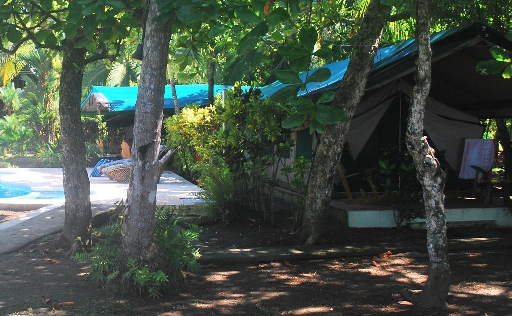 Rafiki Beach Camp Matapalo  ห้อง รูปภาพ