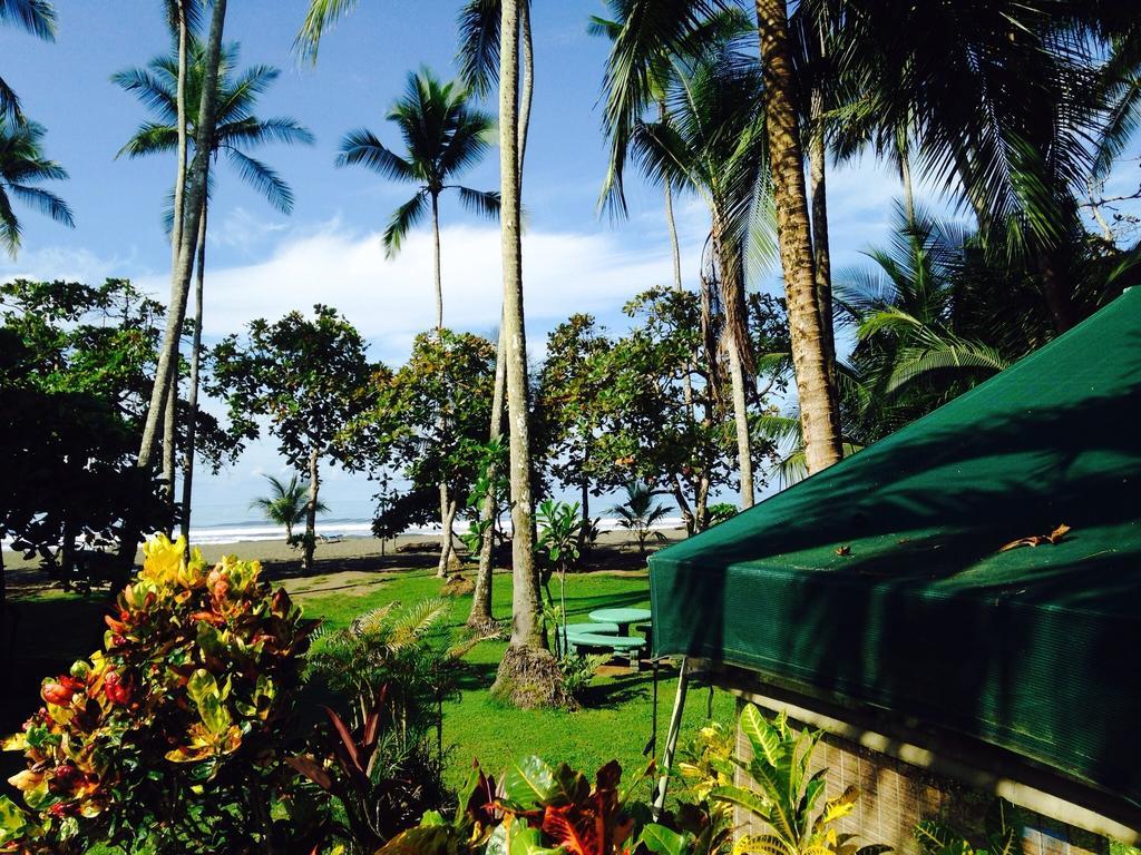 Rafiki Beach Camp Matapalo  ห้อง รูปภาพ