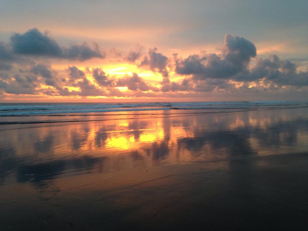 Rafiki Beach Camp Matapalo  ห้อง รูปภาพ