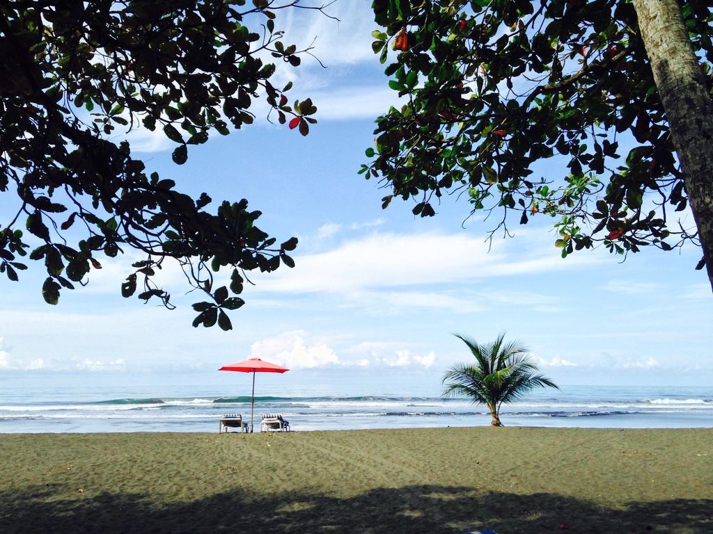 Rafiki Beach Camp Matapalo  ห้อง รูปภาพ