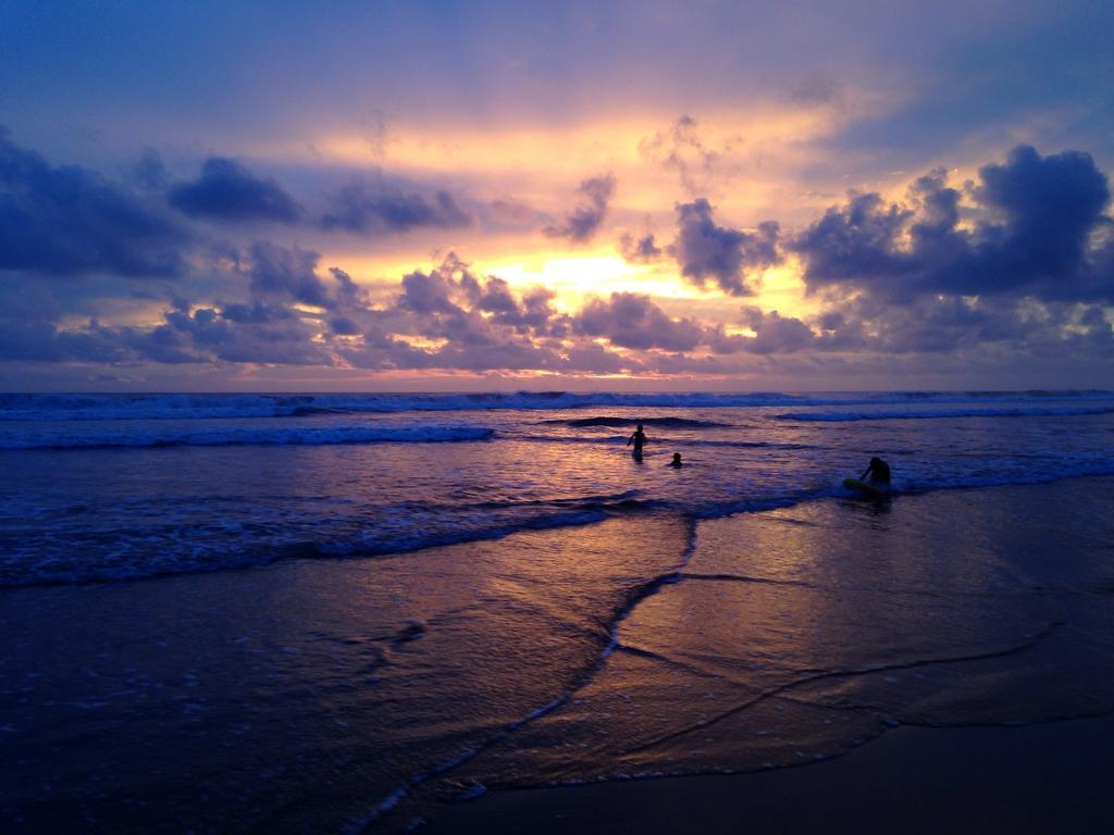 Rafiki Beach Camp Matapalo  ห้อง รูปภาพ