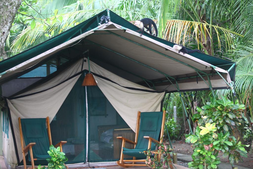 Rafiki Beach Camp Matapalo  ภายนอก รูปภาพ
